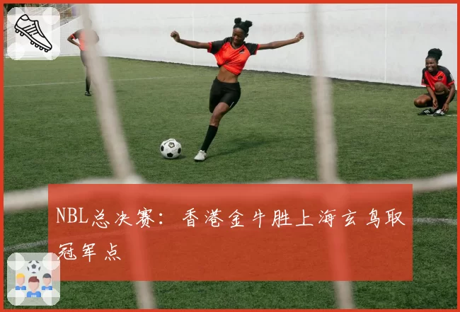 NBL总决赛：香港金牛胜上海玄鸟取冠军点
