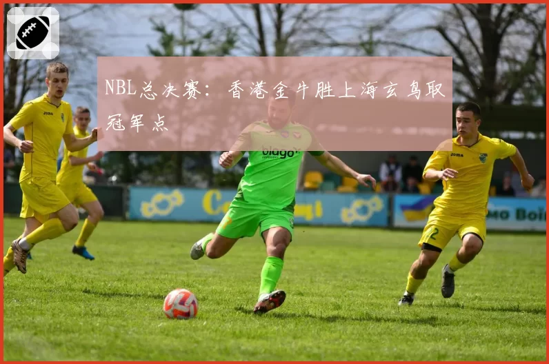 NBL总决赛：香港金牛胜上海玄鸟取冠军点
